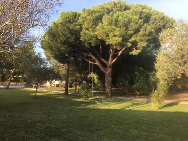 וילה Torrealta, 4000 M2