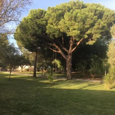 Villa Torrealta, 4000 M2